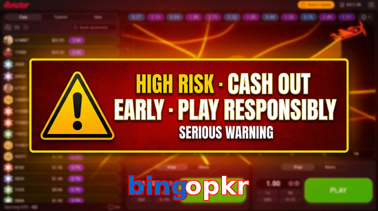 Payment and PKR controls in Bingopkr
