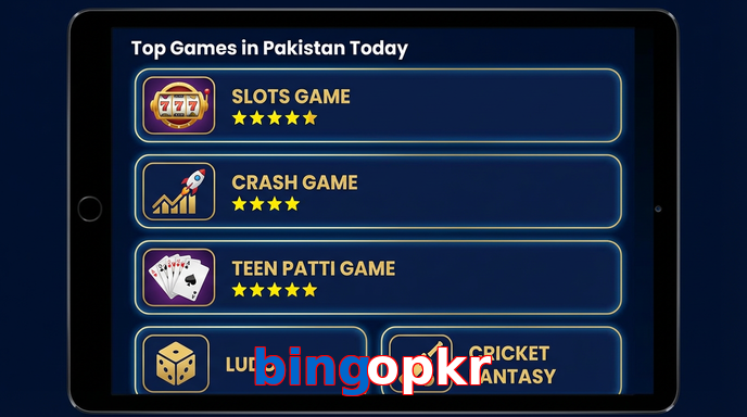 Payment and PKR controls in Bingopkr